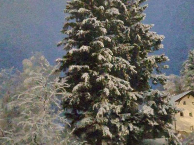 F8F9BA9291249F715D0102B4B5614B20