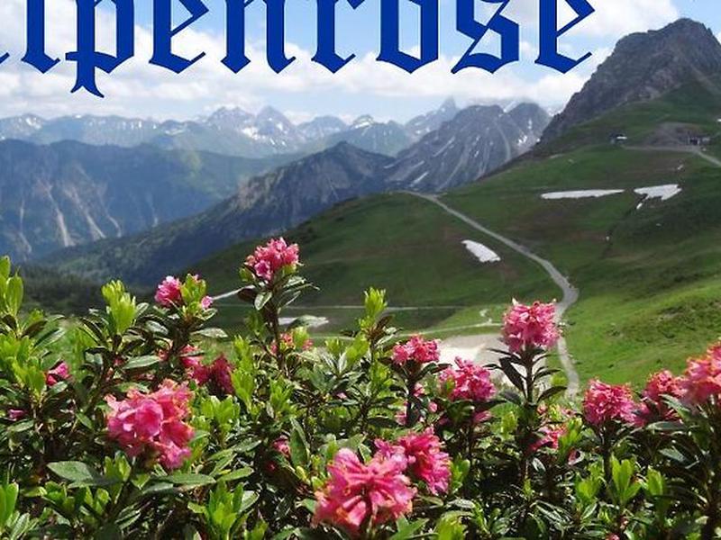 61889BD145149B02489071F7443DBF53