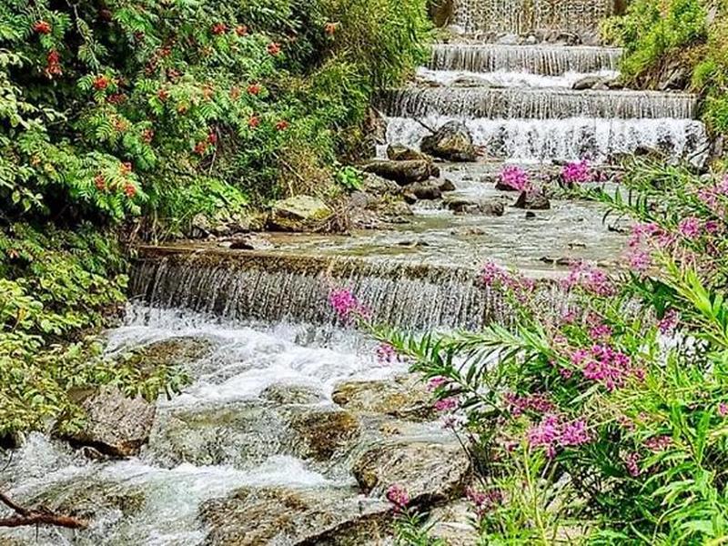 23D58D86CD168DBAACBFA9C9B1731240