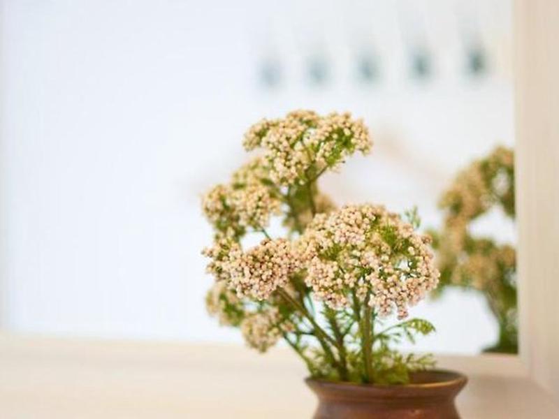 5D0807C7F1A0DBECD095F9C6CC5C69EA