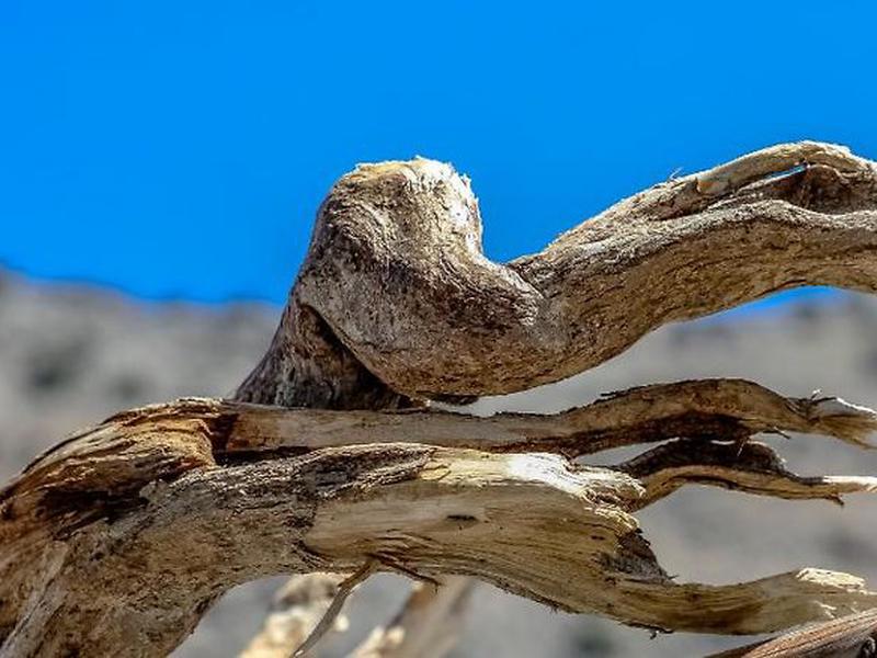 5F4EAE4801A9A8E5FD9E57A4B87EF44D