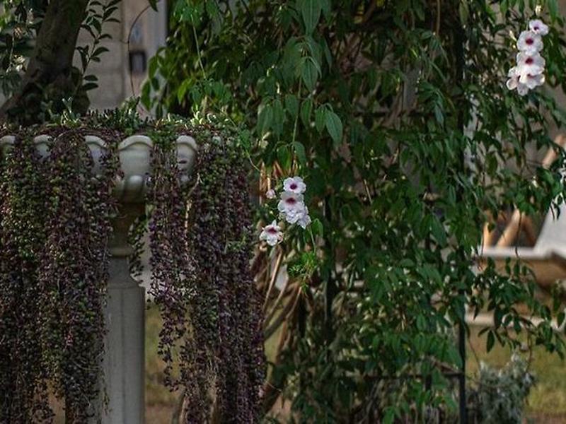 6F829E71ADB73E4A76F63DD5264DB96C