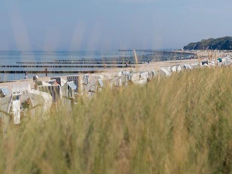 8B2EA3D0FED2A3CD05FDBB5A61BBF0C7