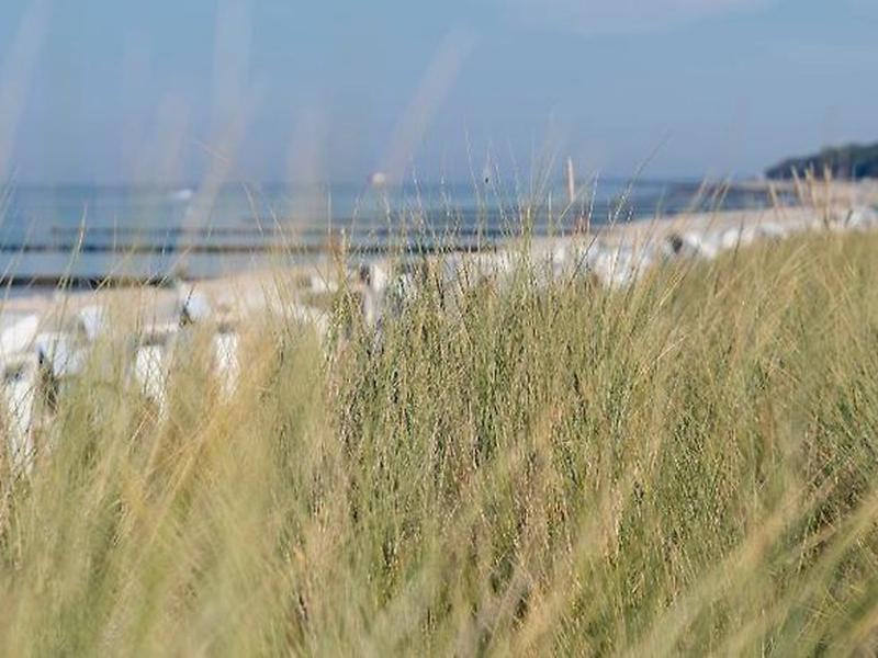 1D1DD0EF6A83ACBA17F68496B3F15F69