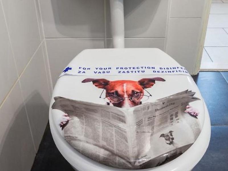 780832E9FD695EE8D6BCF2E30063CD01