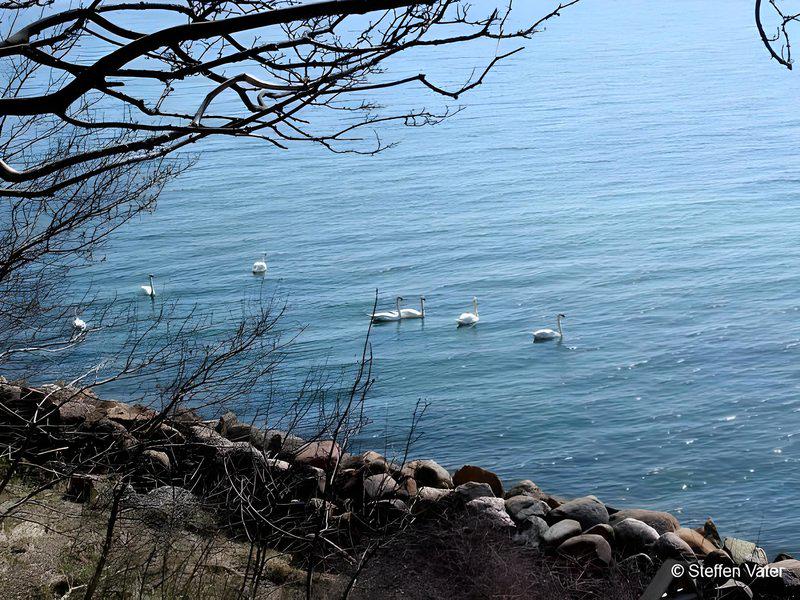 51E265AAB25C7FAD50A315F9D1C6BF0E