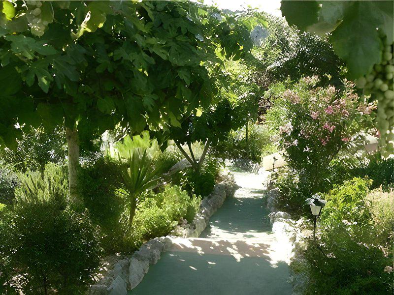 DBBBF4F68B53323B55CED6D6474E226B