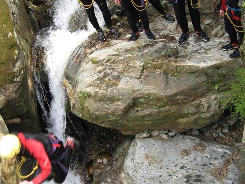 9A7856931FBF9B775B4961C5A3370387