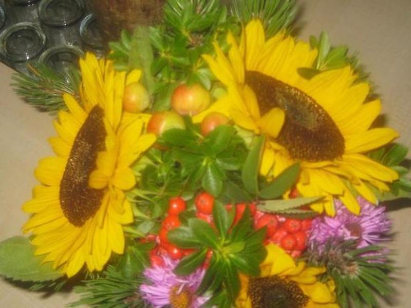 3121A25509D32E646B3EFE8000AFFC3D