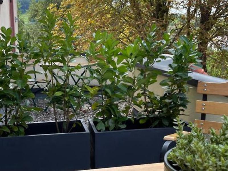 18FB304B7BA724E4D3DA52DB08CA344C