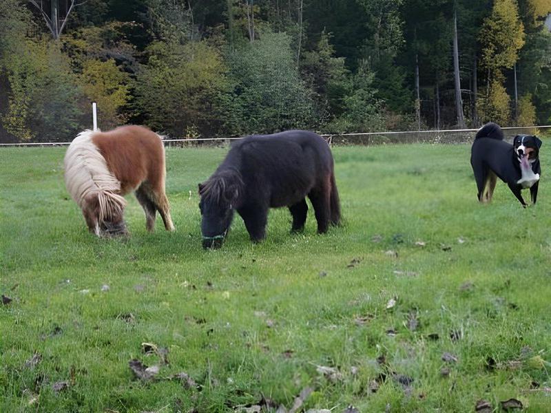 8BABEE71E36E7A451633B4A3A20A12E1