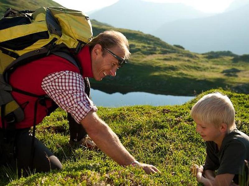 221172BF366EA26028B37680F8D33800