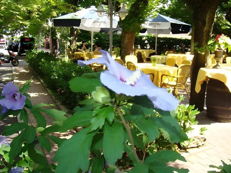 75BD7D5CEF3D4E156BA4A9FEDA4C11C0