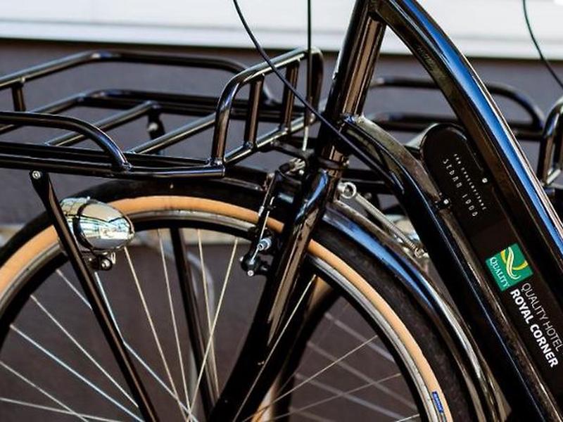 D04D2596855FFAE676307C043ED727B5