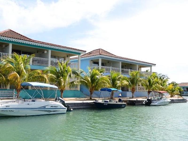 AF5FDA35F5BA83E82A8D9FD2A981EC81