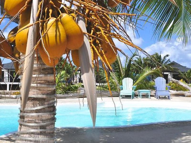 7CF5832DA8904B8267B4691E0C067A14