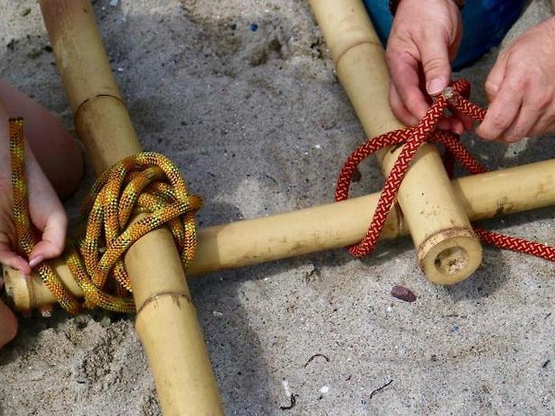 36CCA1765BAEC27C2F79B6BFF2F3884A