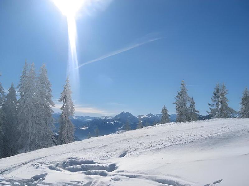 BD1CC928A355836FFF28E3C475A721BA