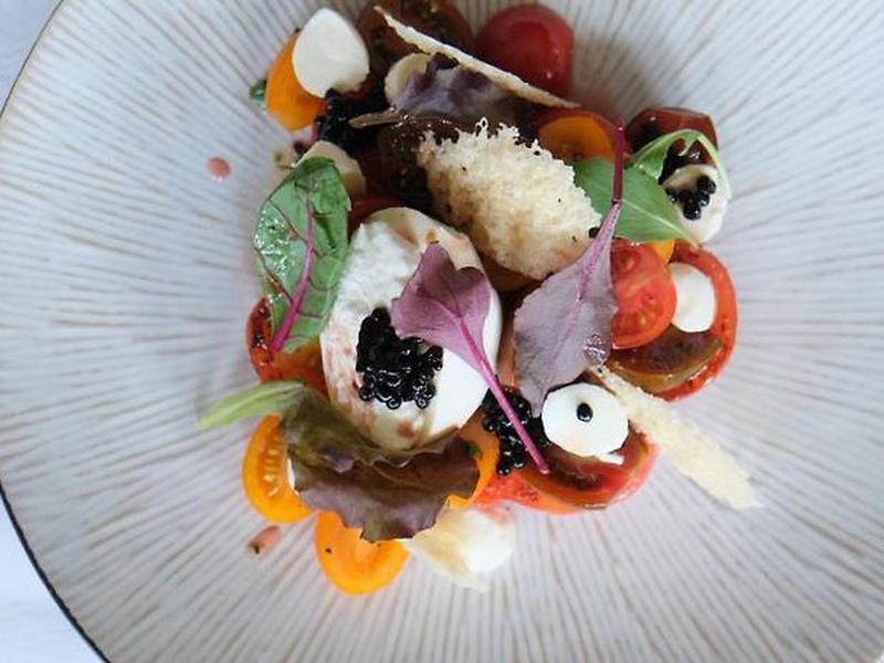 99F093C298844516D941D422E891D762