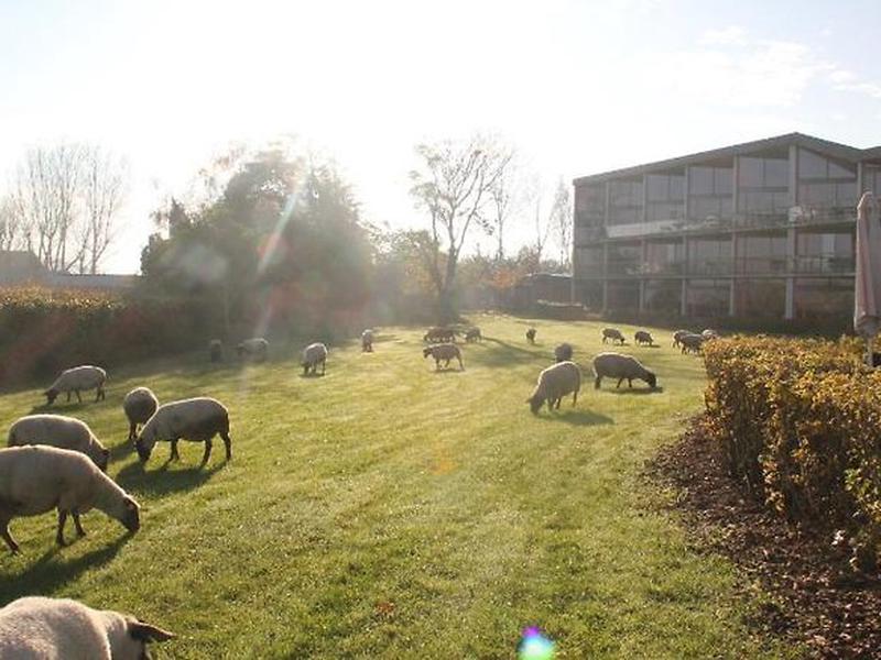 CCF5A6BEDFDF441CBD8A97A0AE170FF8