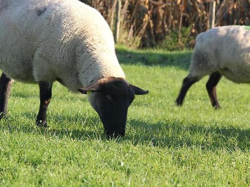 7AA60CE47C63F61403462E2397C7B754