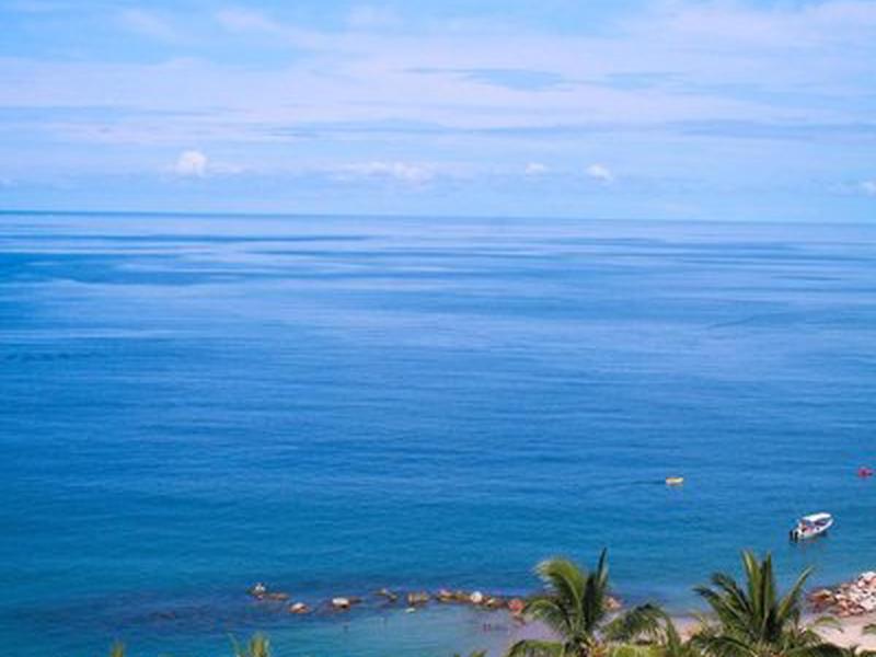 848A01AAE36F114BC478E5EEB2775A45