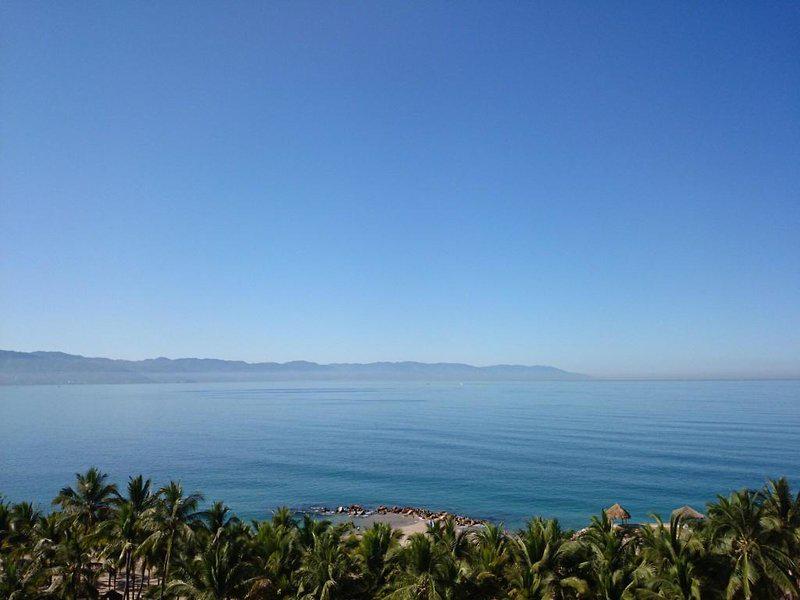 3C36DDCD723E8BB7D9E4C36339BDF8E3