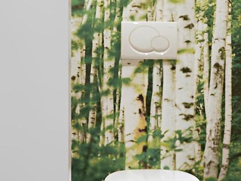 C25EB26AE4FAD7CAFC61371A12B36F33