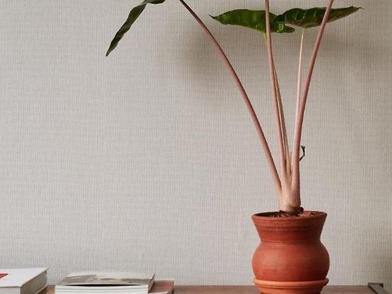 7B56BCBA542B068157CA48931F0EBA37