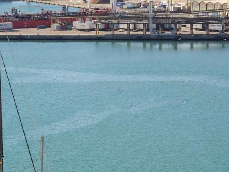 C512AEF6D0F893E88B19D301DFCF2304