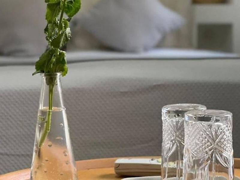 20B1732EE4B99A44F2E4DA203E6000E0