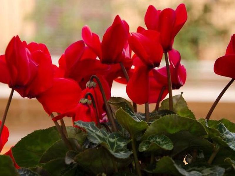 5D0D23917959D262B727337DDBF72D74