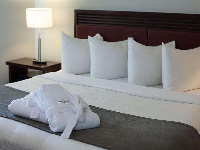 78AA4EF45D8C0CB3CC4ECF854AC59D7B