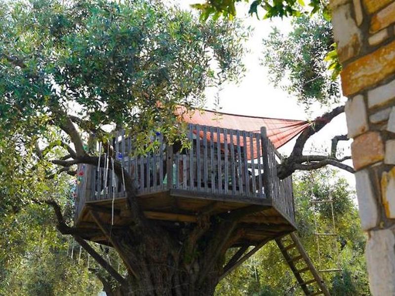 E55697BACA427E818ACE8782A2E993B8