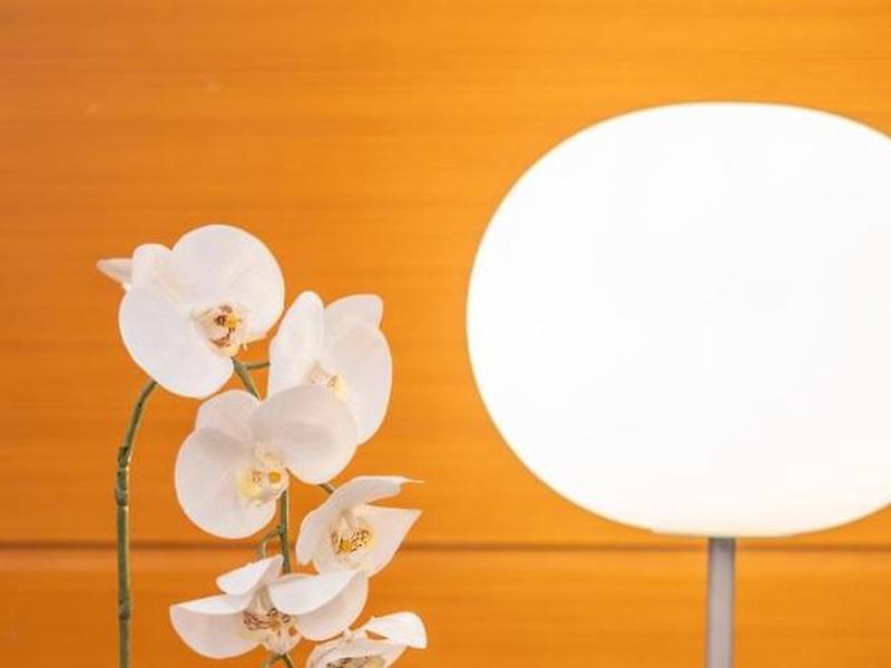 D2930AA10ACDD78D846319898D313B0A