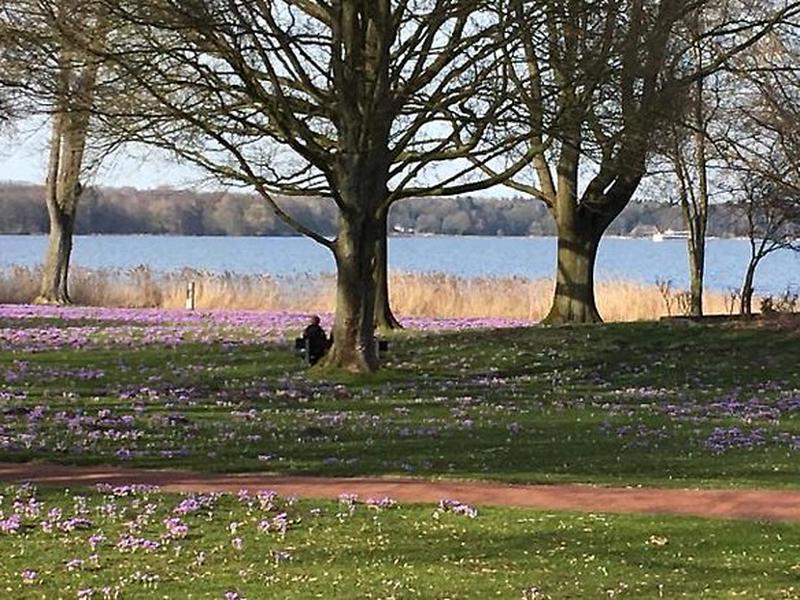 DF58B8B1540A58E74EB024C643A2BAD2