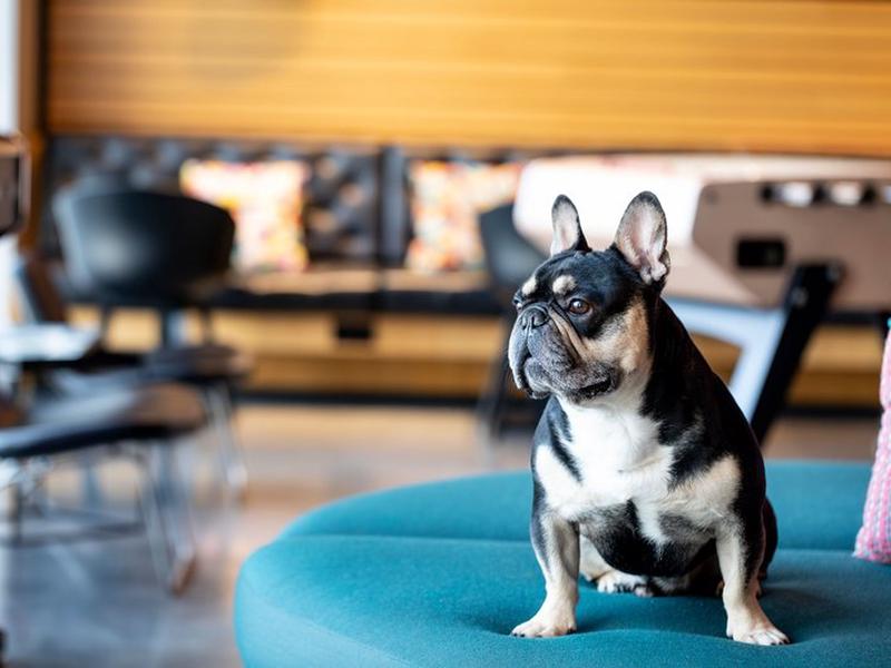 973EB09DFBDBE0E51F00AEF027506AE7