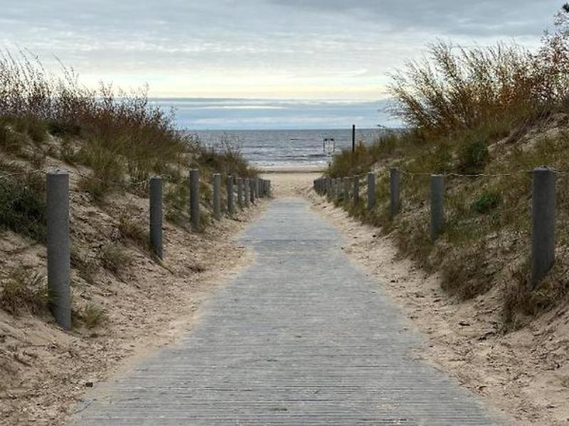 37F61B0490168CD04D3468DF99888358