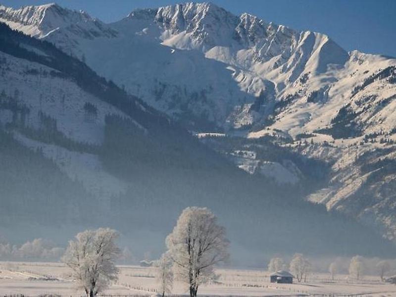 7260508E89B61BCDFC2D20C42FC79EE7