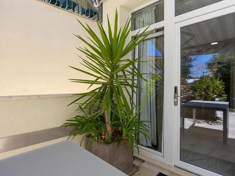 4A44AE4038129CA5AA1C9C8628B43D5C