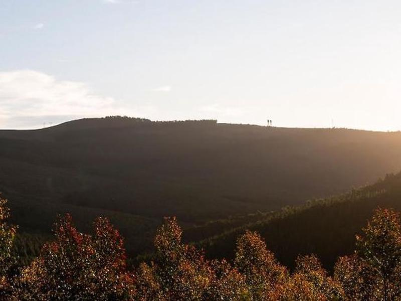 ANEW Resort Ingeli Forest