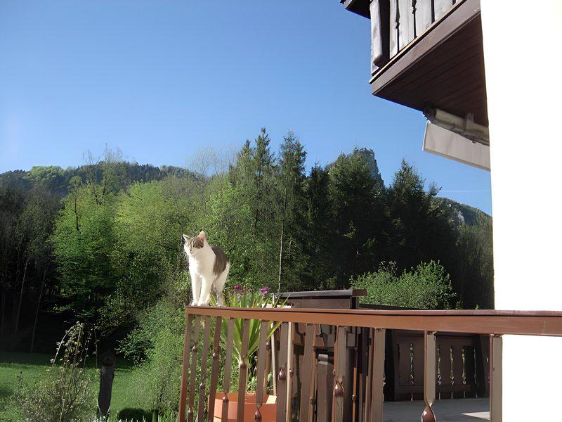 B34E900977C59BA1220286DF0C4BFA94