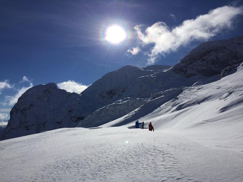 215C4F4A81CAC4A9FE8F9D0212C36E63