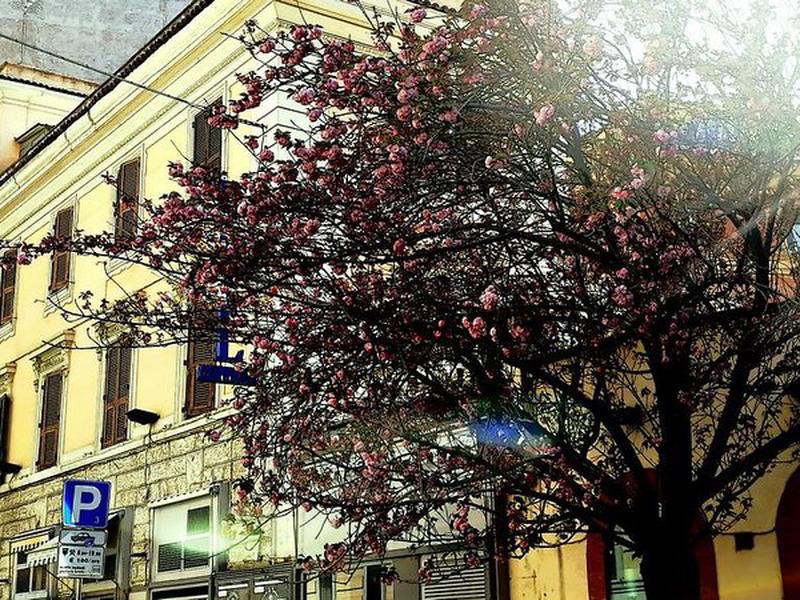 B244741048753962374143D21BB9D4CF