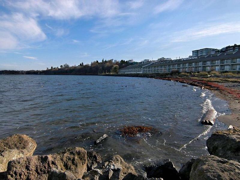 8E9B06E2623BE6F4344AC067667B8BDF