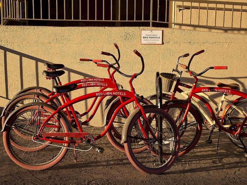 C0065AF5C3C6EA4DBAFA6B8D266E4087