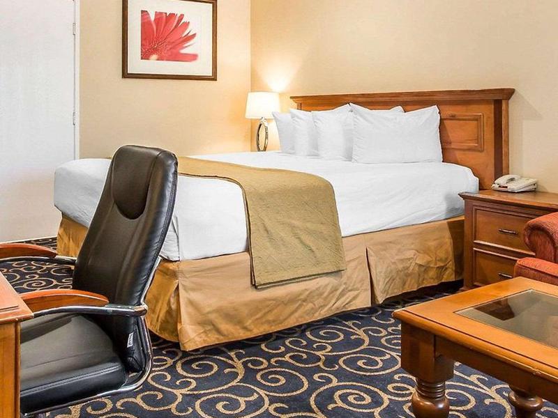 6F033C905FD14195DEC3245061BD6F56