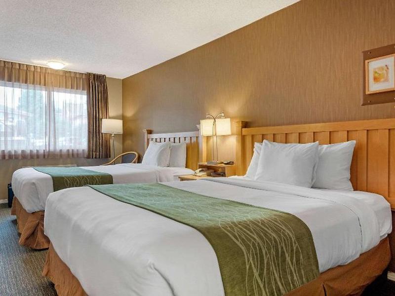 CEF5C473EDB7070842B39E101B5D8987