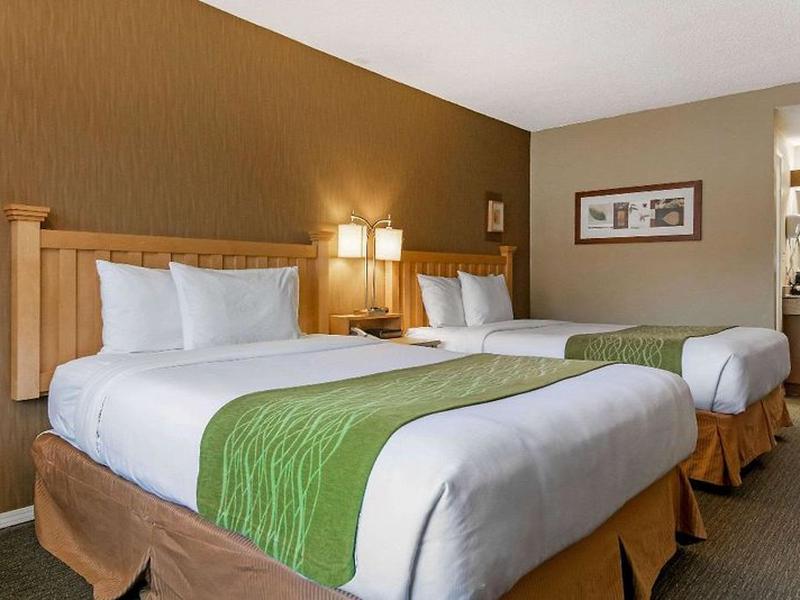 8D1E199D65D6AA7F0F3C53C3F8FA5D33