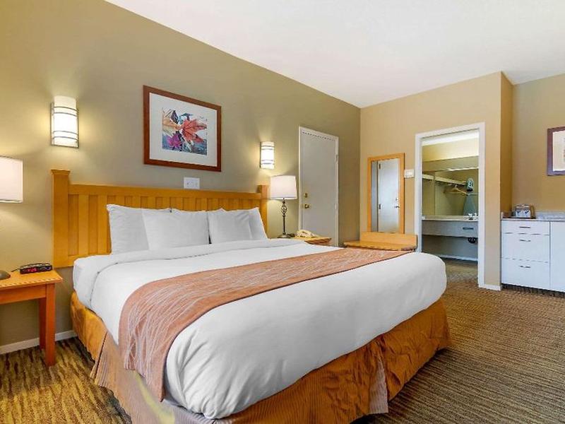 43B91CF0B7909EEA079AAD778365F4FB